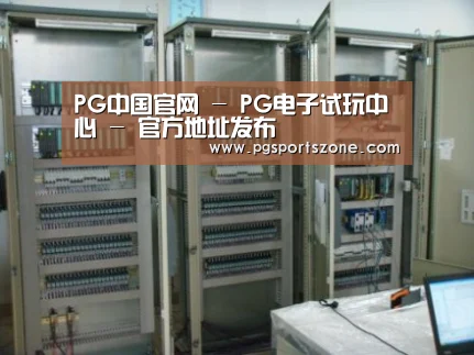PG中国案例展示五