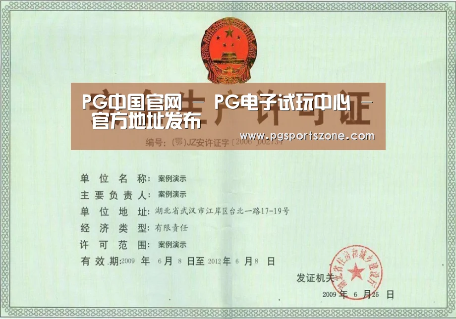 PG中国荣誉证书三(图1)