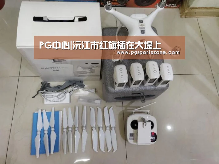 PG中心|沅江市红旗插在大堤上(图2) PG地址