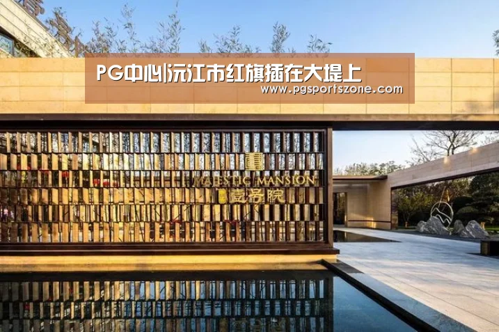 PG中心|沅江市红旗插在大堤上(图3) PG地址