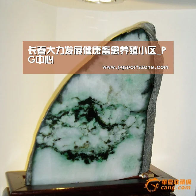 长春大力发展健康畜禽养殖小区_PG中心(图1) PG试玩