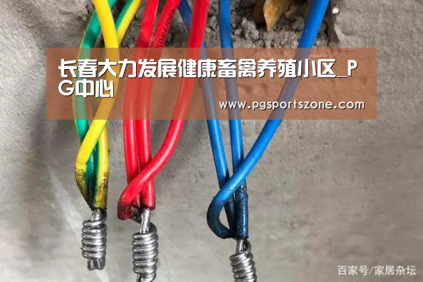 长春大力发展健康畜禽养殖小区_PG中心(图3) PG中国