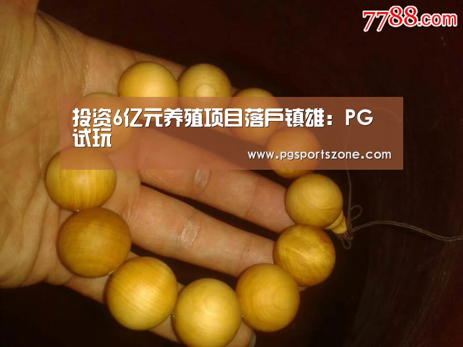 PG试玩
