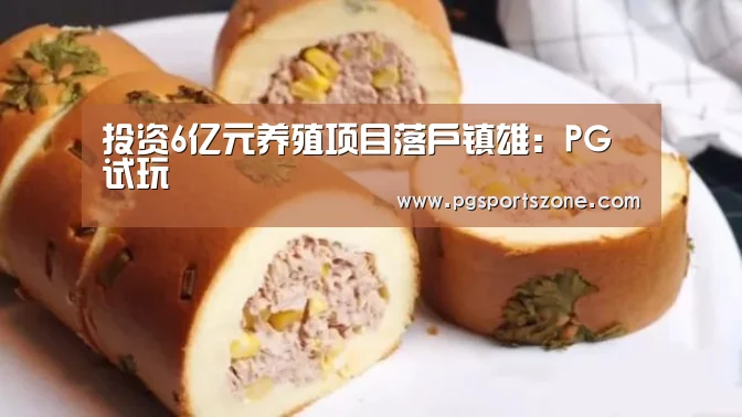 PG中国
