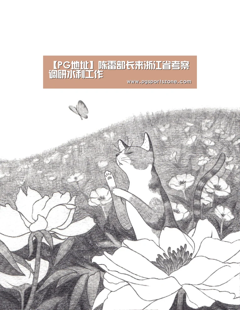 PG中心